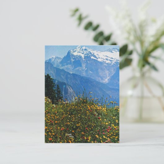  Zwitserland, Schynigge Platte, 1909 6 Briefkaart (Staand voorkant)