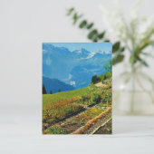 Zwitserland, Schynigge Platte, 1909 9 Briefkaart (Staand voorkant)