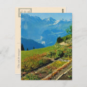 Zwitserland, Schynigge Platte, 1909 9 Briefkaart (Voorkant / Achterkant)