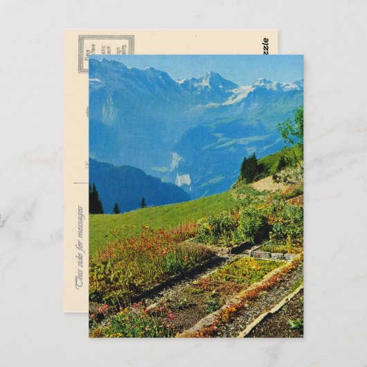  Zwitserland, Schynigge Platte, 1909 9 Briefkaart (Voorkant / Achterkant)