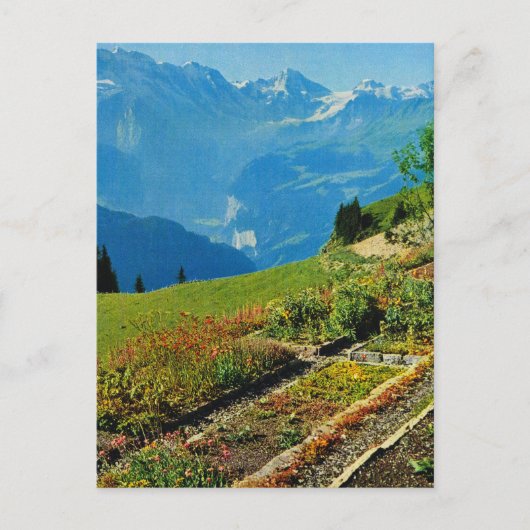 Zwitserland, Schynigge Platte, 1909 9 Briefkaart (Voorkant)