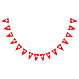 Zwitserland Vlag Schweiz Zwitsers Vlaggetjes