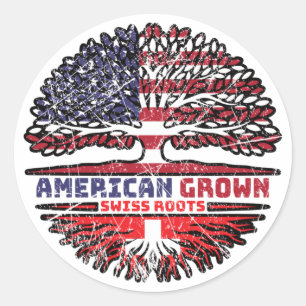 Zwitserland Zwitsers Amerikaans VS Verenigde State Ronde Sticker