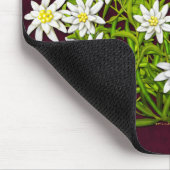 Zwitsers gebergte Edelweiss Flowers Mousepad Muismat (Hoek)