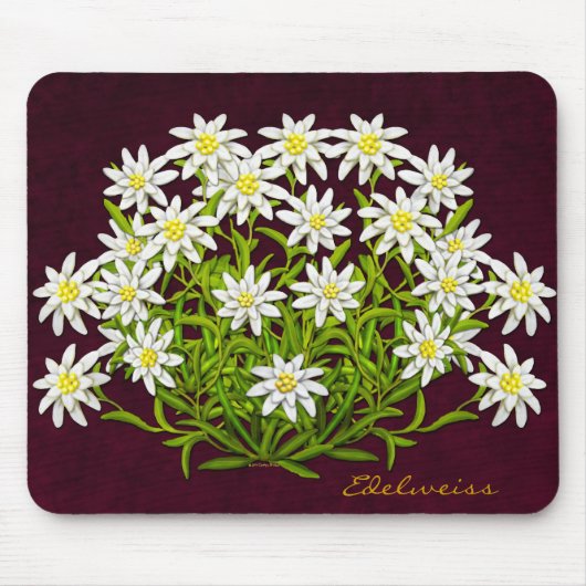 Zwitsers gebergte Edelweiss Flowers Mousepad Muismat (Voorkant)