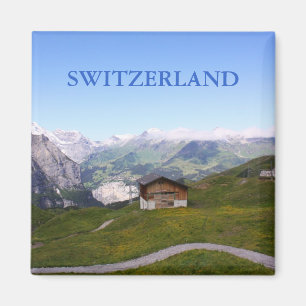 Zwitsers huis en alpen magneet