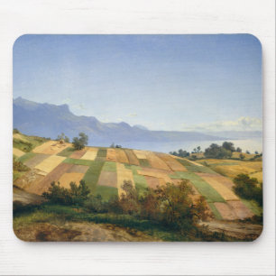 Zwitsers landschap door Alexandre Calame Muismat