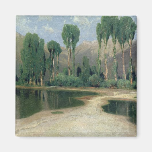 Zwitsers landschap magneet (Voorkant)
