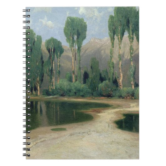 Zwitsers landschap notitieboek (Voorkant)