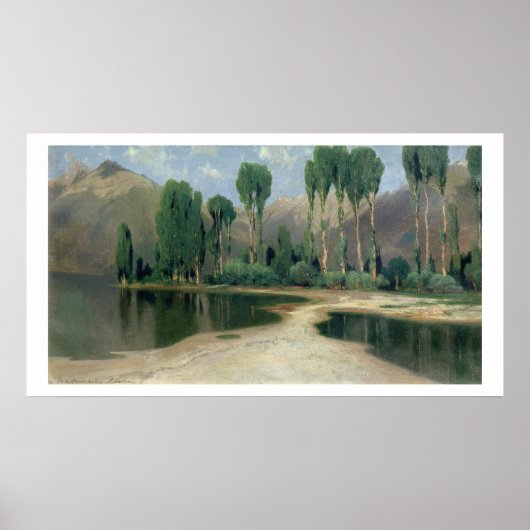 Zwitsers landschap poster (Voorkant)