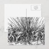 Zwitsers Pikemen Briefkaart (Voorkant / Achterkant)