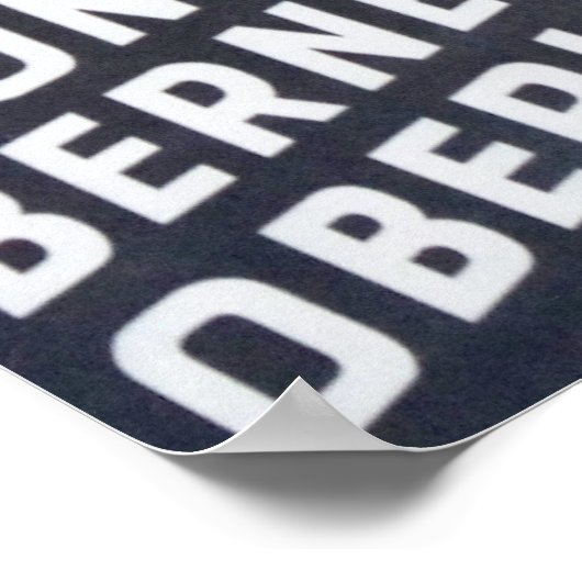 Zwitsers reizen Poster (Hoek)