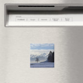 Zwitserse alpen magneet (Insitu (Vaatwasser))