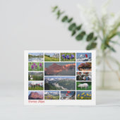 Zwitserse Alpen met meerdere afbeeldingen Briefkaart (Staand voorkant)