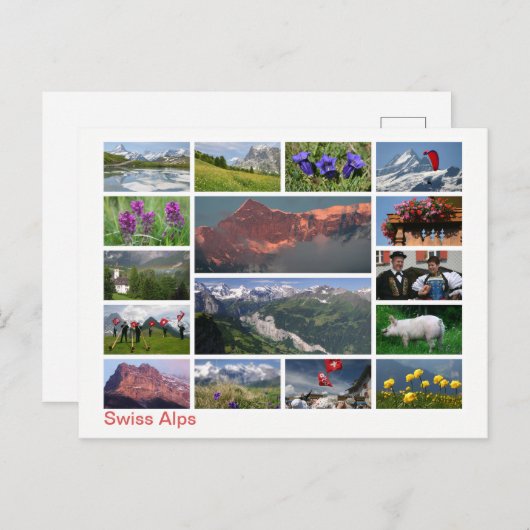 Zwitserse Alpen met meerdere afbeeldingen Briefkaart (Voorkant / Achterkant)