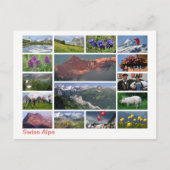 Zwitserse Alpen met meerdere afbeeldingen Briefkaart (Voorkant)