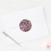 Zwitserse Alpine Paarse Saxifrage bloem sticker (Envelop)
