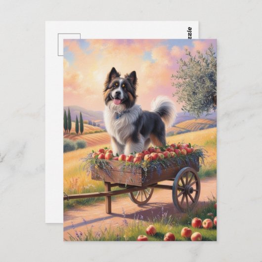 Zwitserse berghond staand in appel kar briefkaart (Voorkant / Achterkant)