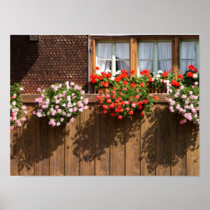 Zwitserse bloembak poster