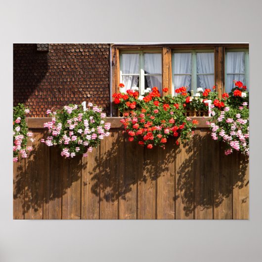 Zwitserse bloembak poster (Voorkant)