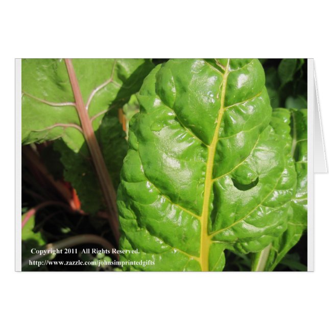 Zwitserse Kaarten (Voorkant Horizontaal)