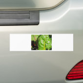 Zwitserse Kaarten Bumpersticker (Op auto)