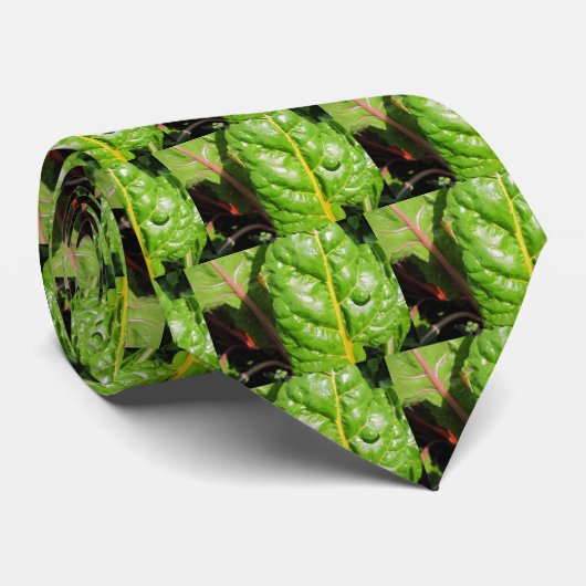 Zwitserse Kaarten Stropdas (Opgerold)