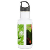 Zwitserse Kaarten Waterfles (Achterkant)