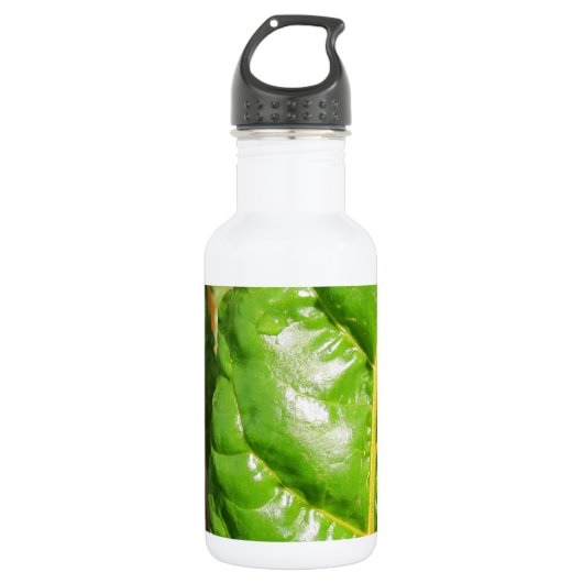 Zwitserse Kaarten Waterfles (Voorkant)