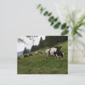 Zwitserse koeien briefkaart (Staand voorkant)