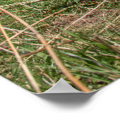 Zwitserse Koeien Poster (Hoek)