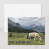 Zwitserse Koeien zijn vrolijke Koeien Briefkaart (Voorkant / Achterkant)