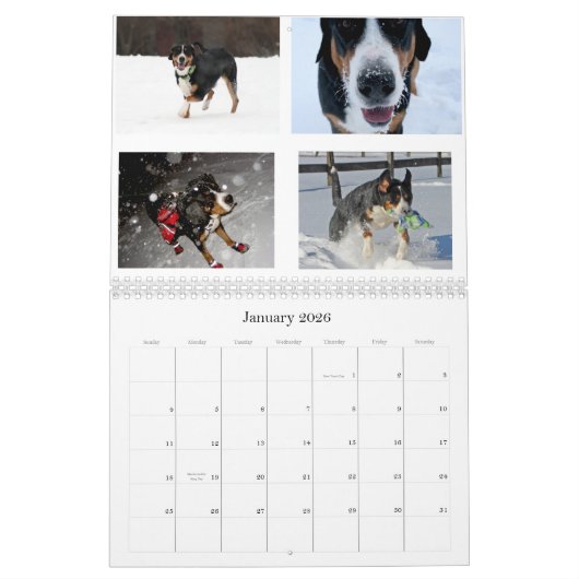 Zwitserse Lick Swissies (en vrienden) Agenda 2011 Kalender (Jan 2026)