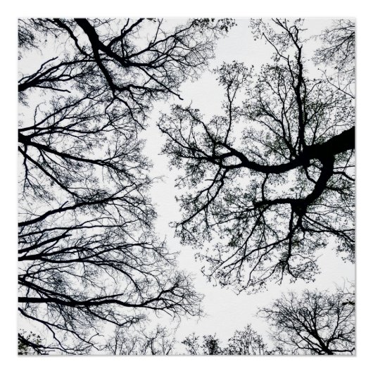 Zwollenaar Fractal Perfect Poster (Voorkant)