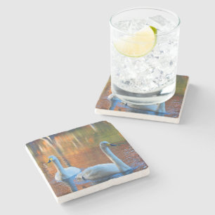 Zwringt op een Onderzetter met een Pond Stone