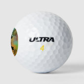 ZWUIDWESTERSCH SCHILDPAD KUNST GOLFBALLEN (Logo)