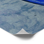 Zydeco Geno Poster (Hoek)