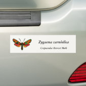 Zygaena carniolica - de Crepuscular Burnet Moth Bumpersticker (Op auto)