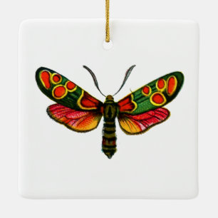 Zygaena carniolica - de Crepuscular Burnet Moth Keramisch Ornament