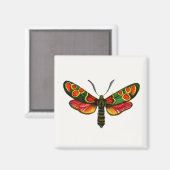 Zygaena carniolica - de Crepuscular Burnet Moth Magneet (Voorkant / Achterkant)