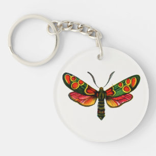 Zygaena carniolica - de Crepuscular Burnet Moth Sleutelhanger