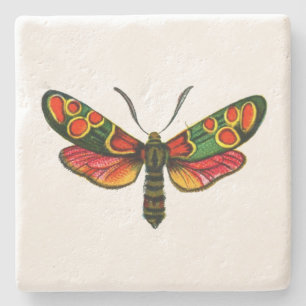 Zygaena carniolica - de Crepuscular Burnet Moth Stenen Onderzetter