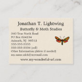 Zygaena carniolica - de Crepuscular Burnet Moth Visitekaartje (Achterkant)