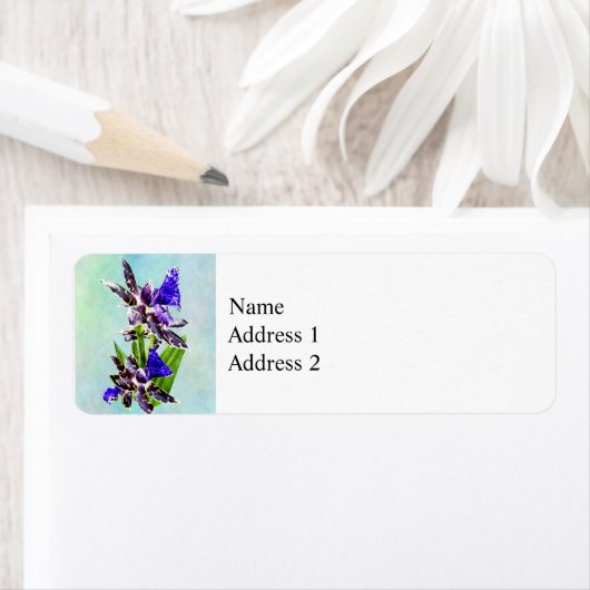 Zygo Advance Australia HOF Etiket (Insitu)