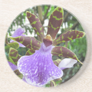 Zygopetalum Orchide Onderzetters