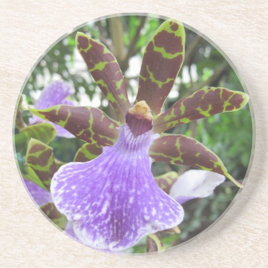 Zygopetalum Orchide Onderzetters (Voorkant)