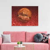 Zygote-ontwikkeling: 24-36 uur canvas afdruk (Insitu (Woonkamer))