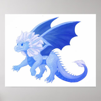 Zym the dragon prince poster