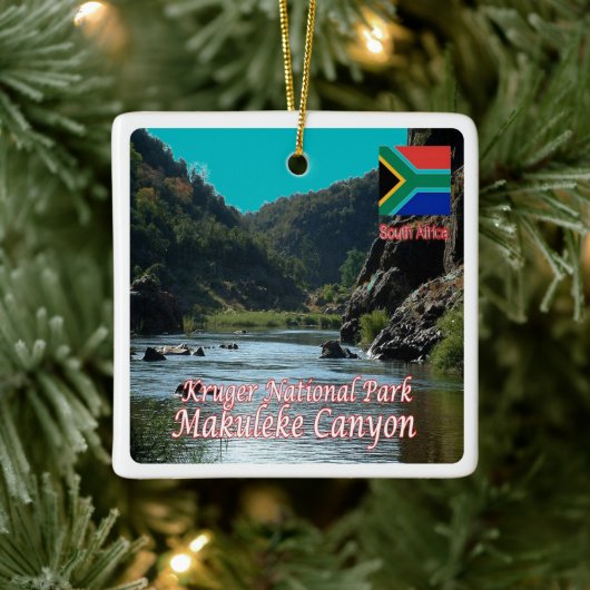 zZA005 ZUID-AFRIKA, N.P. Makuleke Canyon, Keramisch Ornament (Boom)