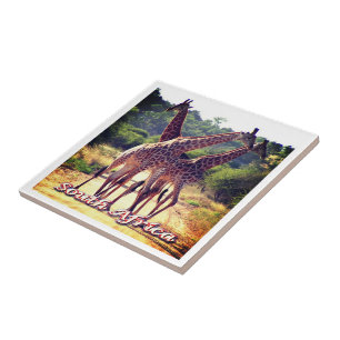 zZA011 ZUID-AFRIKA, Giraffes, Tegeltje